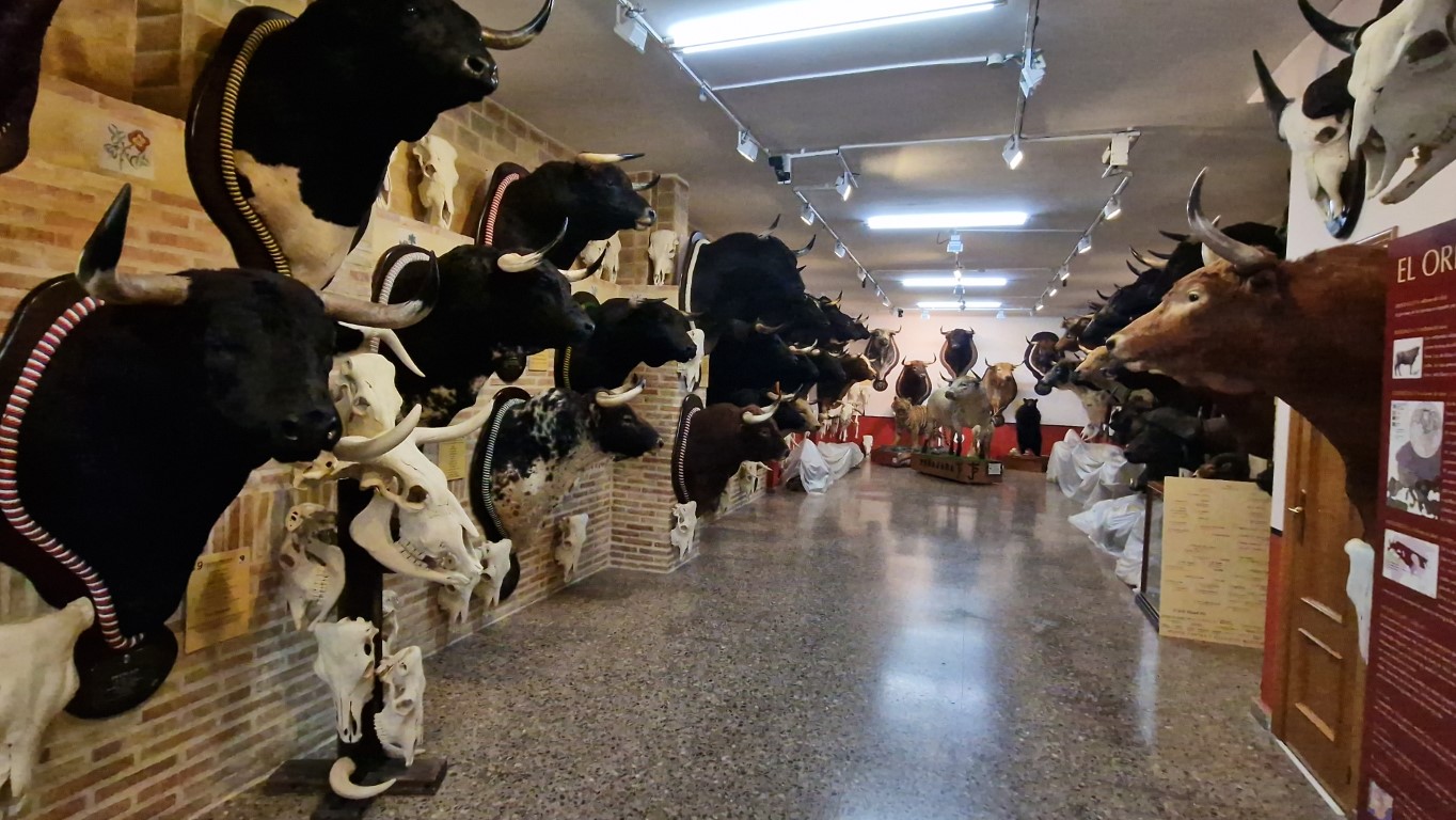 CASTAS Y ENCASTES