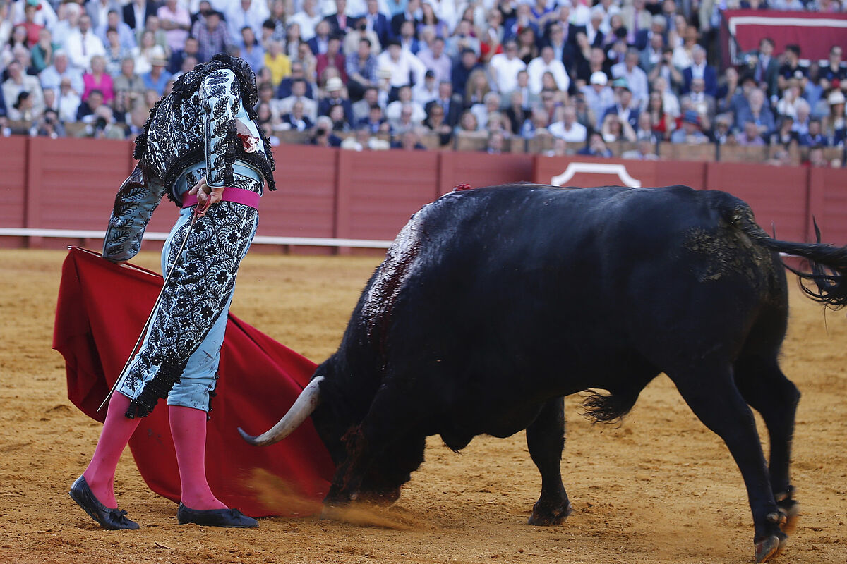 LA LIDIA